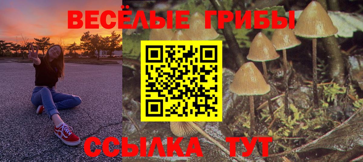 Пугачёв  Галлюциногенные грибы GOLDEN TEACHER  Псилоцибиновые грибы Cubensis  Вход с VPN 